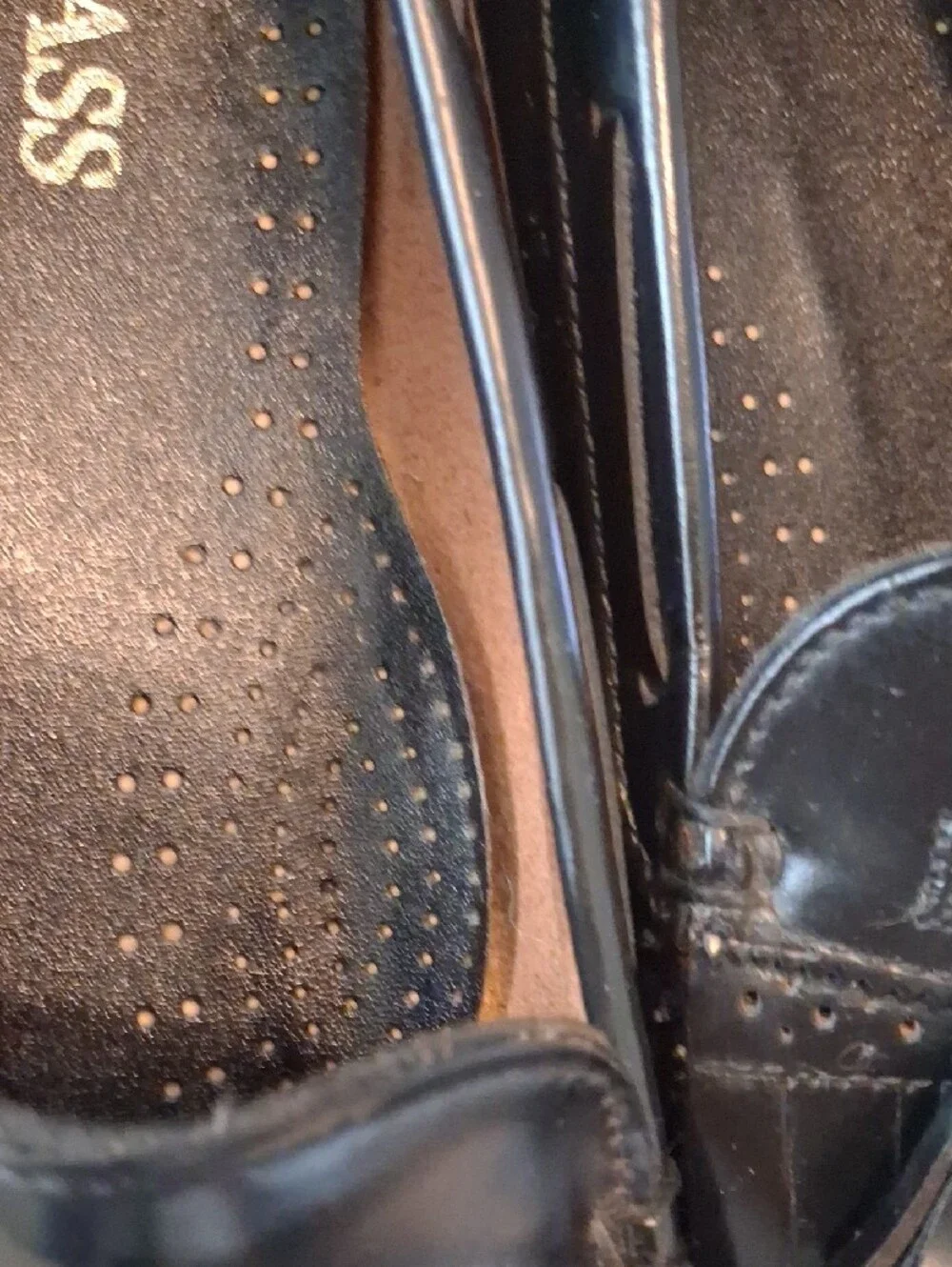 Bass glossy patent